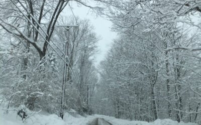 Winter Safety Tips from Your Trusted Triangle Electrician!